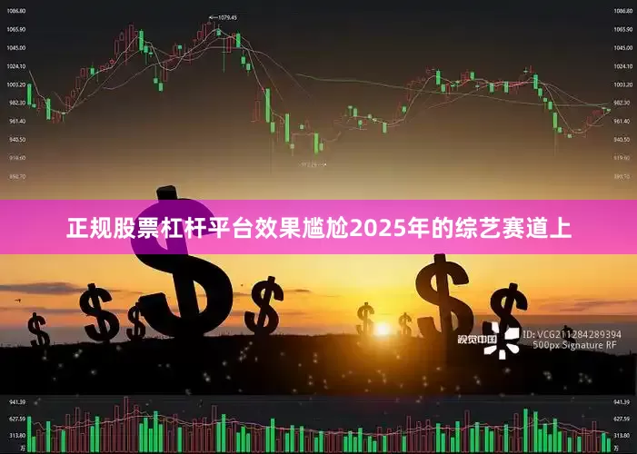 正规股票杠杆平台效果尴尬2025年的综艺赛道上